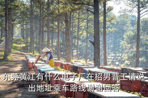 東莞黃江有什么電子廠在招男普工請說出地址乘車路線謝謝回答