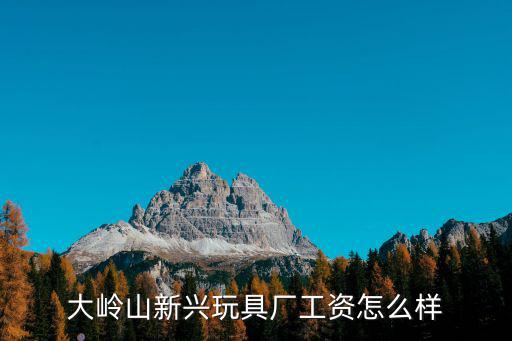 大嶺山新興玩具廠工資怎么樣