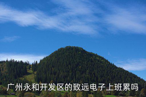 廣州永和開發區的致遠電子上班累嗎