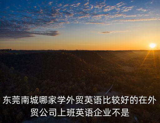 東莞南城哪家學外貿(mào)英語比較好的在外貿(mào)公司上班英語企業(yè)不是