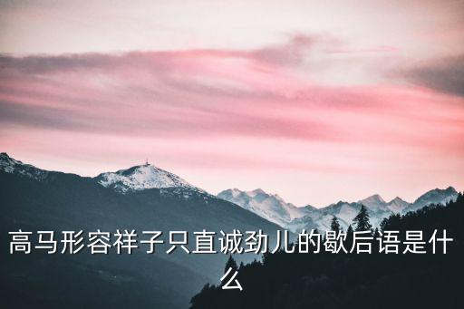 高馬形容祥子只直誠勁兒的歇后語是什么