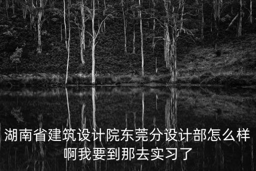 湖南省建筑設計院東莞分設計部怎么樣啊我要到那去實習了