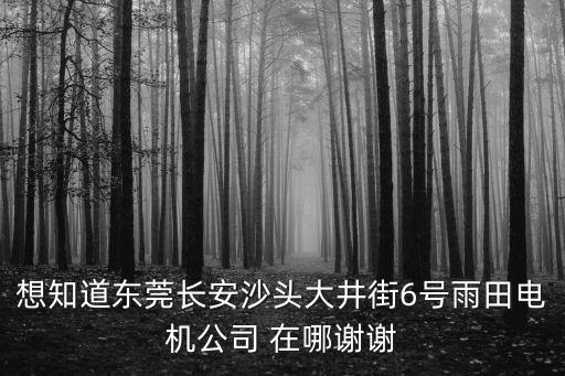 想知道東莞長安沙頭大井街6號雨田電機公司 在哪謝謝