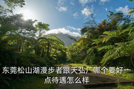 東莞松山湖漫步者跟天弘廠哪個(gè)要好一點(diǎn)待遇怎么樣