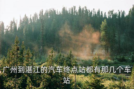 廣州到湛江坐車，從廣州到湛江坐什么車好