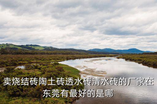 賣燒結磚陶土磚透水磚清水磚的廠家在東莞有最好的是哪