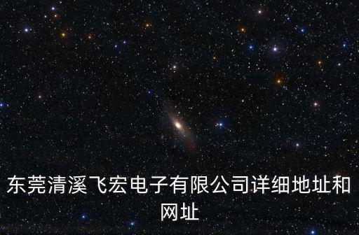東莞清溪飛宏電子有限公司詳細地址和網址