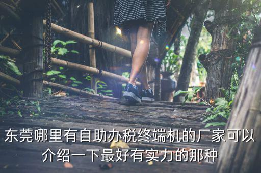 東莞哪里有自助辦稅終端機的廠家可以介紹一下最好有實力的那種
