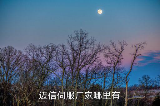 邁信伺服廠家哪里有