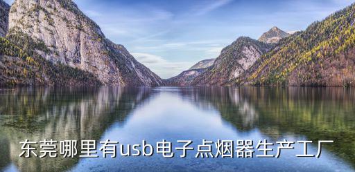 東莞哪里有usb電子點(diǎn)煙器生產(chǎn)工廠