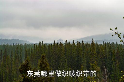 東莞哪里做織嘜織帶的