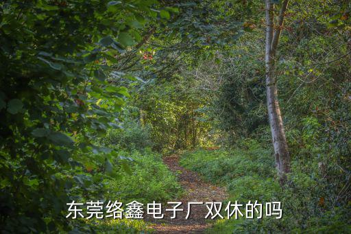 東莞絡鑫電子廠雙休的嗎