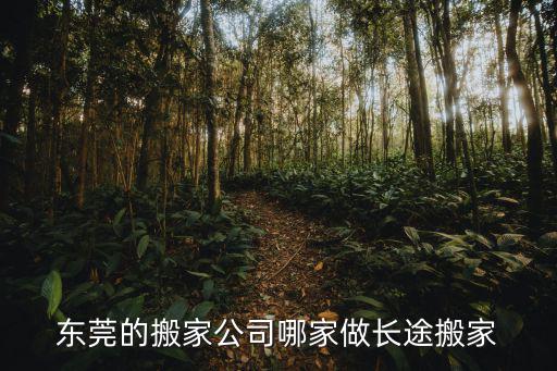 東莞的搬家公司哪家做長途搬家