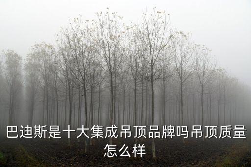 巴迪斯是十大集成吊頂品牌嗎吊頂質(zhì)量怎么樣