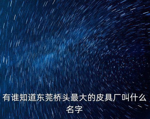 東莞兆順皮革有限公司，有誰知道東莞橋頭最大的皮具廠叫什么名字