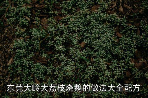 東莞大嶺大荔枝燒鵝的做法大全配方