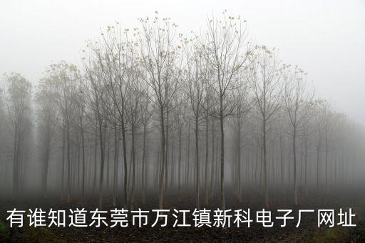 有誰知道東莞市萬江鎮新科電子廠網址