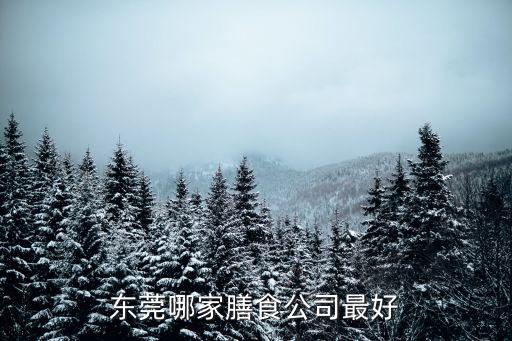 東莞哪家膳食公司最好