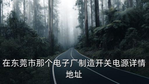 在東莞市那個(gè)電子廠制造開關(guān)電源詳情地址