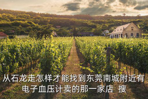 從石龍走怎樣才能找到東莞南城附近有電子血壓計賣的那一家店  搜