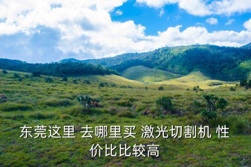 東莞這里 去哪里買 激光切割機(jī) 性價(jià)比比較高