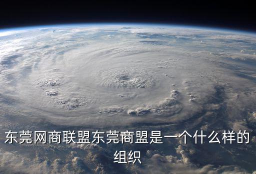 東莞網商聯盟東莞商盟是一個什么樣的組織