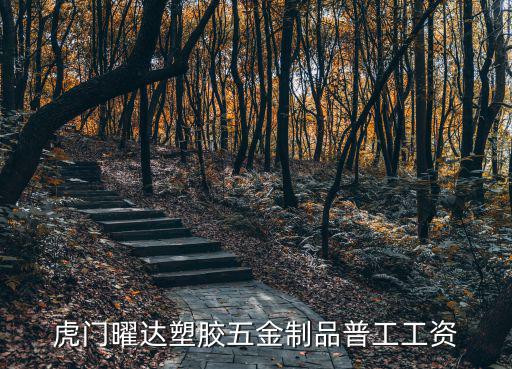虎門曜達塑膠五金制品普工工資