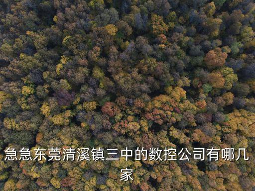 急急東莞清溪鎮三中的數控公司有哪幾家
