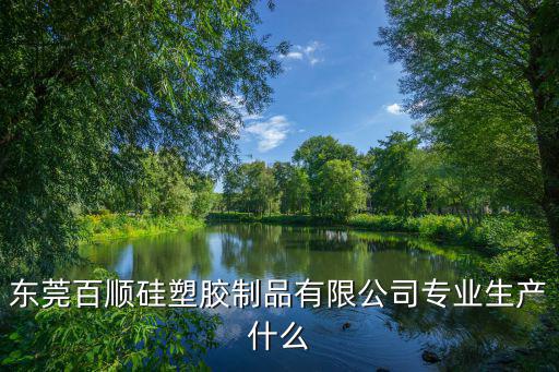 東莞百順硅塑膠制品有限公司專業(yè)生產(chǎn)什么