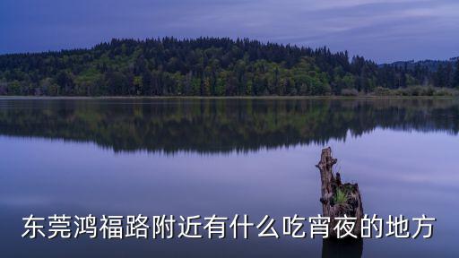 東莞鴻福路附近有什么吃宵夜的地方