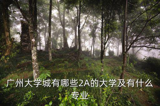 廣州大學城有哪些2A的大學及有什么專業