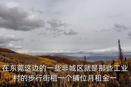 在東莞這邊的一些非城區就是那些工業村的步行街租一個鋪位月租金一