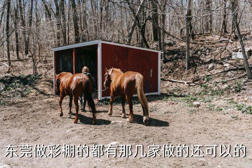東莞做彩棚的都有那幾家做的還可以的