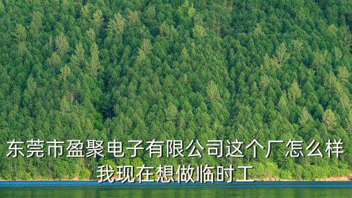 深圳盈聚投資管理有限公司東莞分公司，東莞市盈聚電子有限公司怎么樣