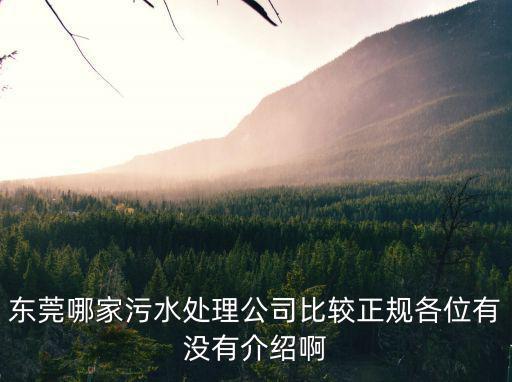 東莞哪家污水處理公司比較正規各位有沒有介紹啊