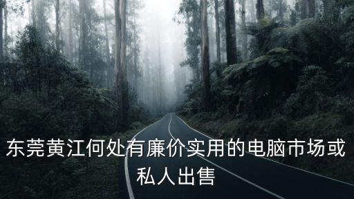 東莞黃江何處有廉價實(shí)用的電腦市場或私人出售