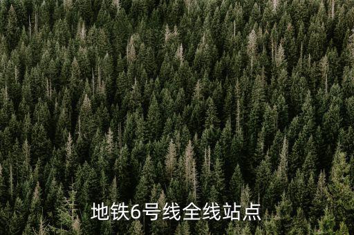 6號地鐵，地鐵6號線全線站點