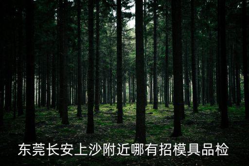 東莞市雙宏模具配件有限公司，東莞長安上沙附近哪有招模具品檢