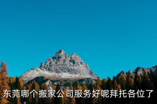 東莞哪個搬家公司服務好呢拜托各位了