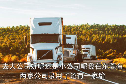 去大公司好呢還是小公司呢我在東莞有兩家公司錄用了還有一家給