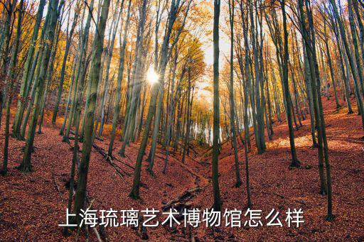 上海琉璃藝術博物館怎么樣