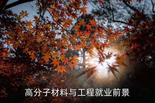 高分子材料與工程就業前景