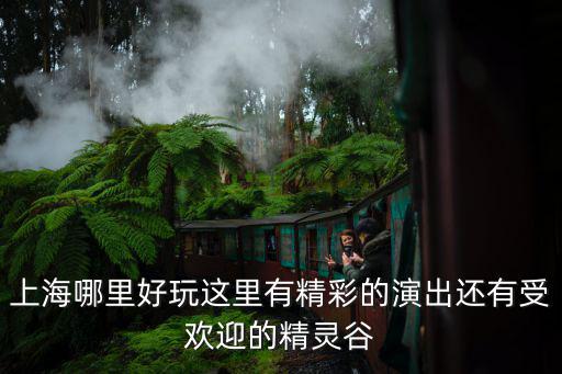 上海演出，上海市演出市場管理條例實施細則