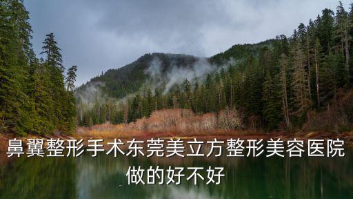 鼻翼整形手術(shù)東莞美立方整形美容醫(yī)院做的好不好