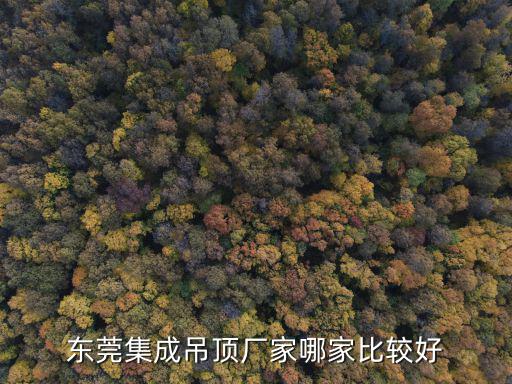 東莞市博泰建材有限公司，賣燒結磚陶土磚透水磚清水磚的廠家在東莞有最好的是哪
