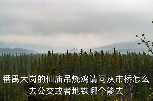 番禺大崗的仙廟吊燒雞請(qǐng)問(wèn)從市橋怎么去公交或者地鐵哪個(gè)能去