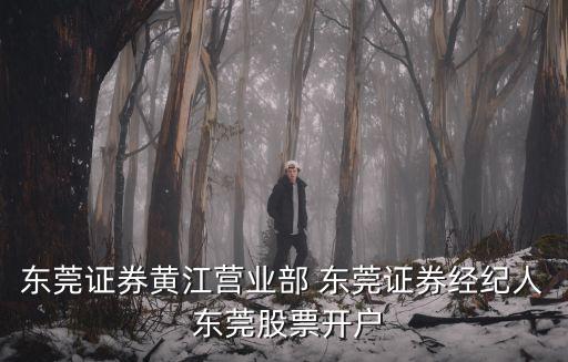 東莞證券黃江營業(yè)部 東莞證券經(jīng)紀人 東莞股票開戶