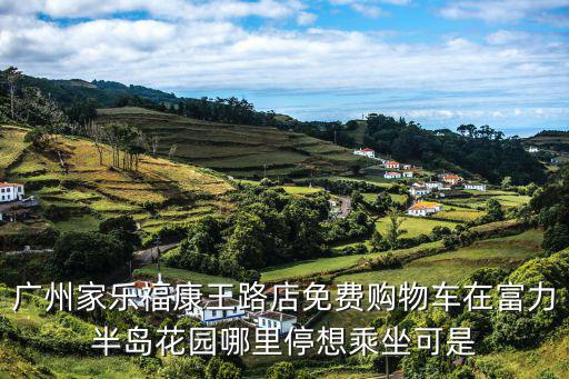 廣州家樂福康王路店免費購物車在富力半島花園哪里停想乘坐可是