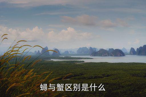 蟳與蟹區(qū)別是什么