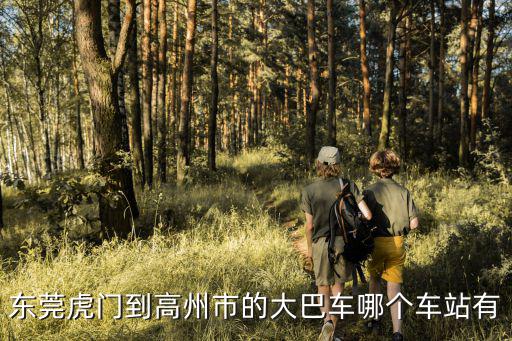 東莞高州商會(huì)網(wǎng)址，東莞市梅州商會(huì)具體位置在那里